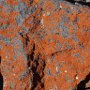 Lichen on basalt. Photo by Peter Zeitler.